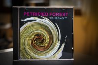 wellenvorm - Petrified Forest