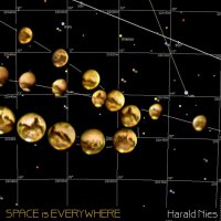 Harald Nies - Space is everywhere