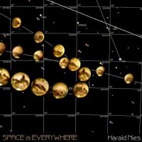 Harald Nies - Space is everywhere