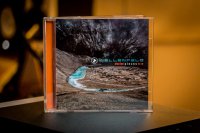 Wellenfeld - Elected Pieces 04-18